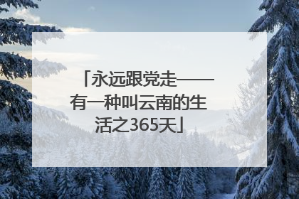 永远跟党走——有一种叫云南的生活之365天