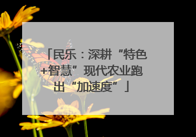 民乐：深耕“特色+智慧”现代农业跑出“加速度”