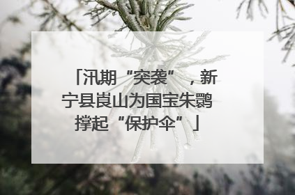 汛期“突袭”，新宁县崀山为国宝朱鹮撑起“保护伞”
