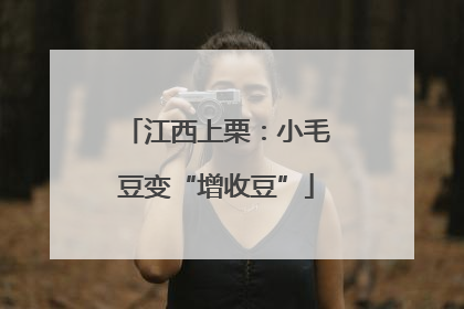 江西上栗：小毛豆变“增收豆”