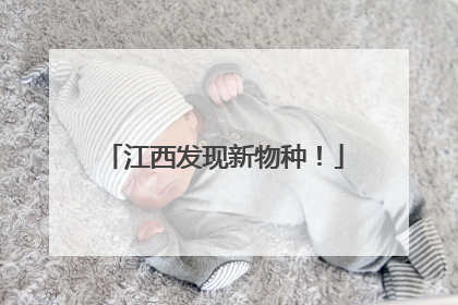 江西发现新物种！