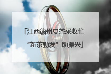 江西赣州夏茶采收忙 “新茶勃发”助振兴