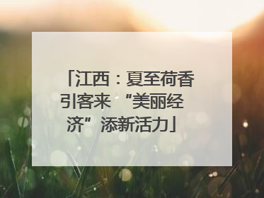 江西：夏至荷香引客来 “美丽经济”添新活力