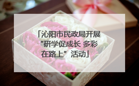 沁阳市民政局开展“研学促成长 多彩在路上”活动