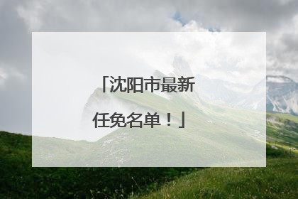 沈阳市最新任免名单！