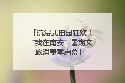 沉浸式田园狂欢！“我在南安”暑期文旅消费季启幕
