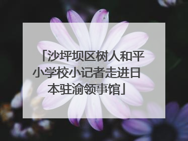 沙坪坝区树人和平小学校小记者走进日本驻渝领事馆
