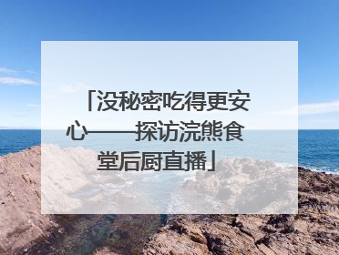 没秘密吃得更安心——探访浣熊食堂后厨直播