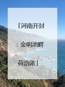 河南开封：金明池畔荷韵浓