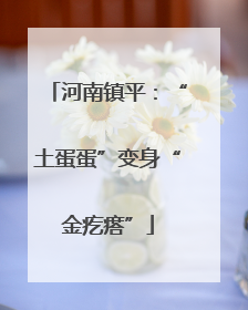 河南镇平：“土蛋蛋”变身“金疙瘩”