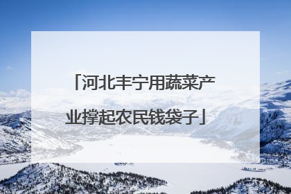 河北丰宁用蔬菜产业撑起农民钱袋子