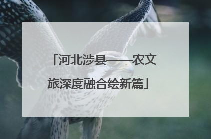 河北涉县——农文旅深度融合绘新篇