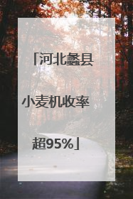 河北蠡县小麦机收率超95%