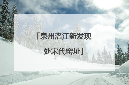 泉州洛江新发现一处宋代窑址