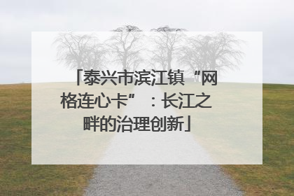 泰兴市滨江镇“网格连心卡”：长江之畔的治理创新