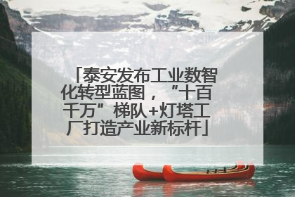 泰安发布工业数智化转型蓝图，“十百千万”梯队+灯塔工厂打造产业新标杆