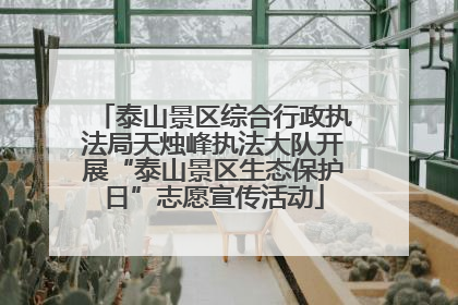 泰山景区综合行政执法局天烛峰执法大队开展“泰山景区生态保护日”志愿宣传活动