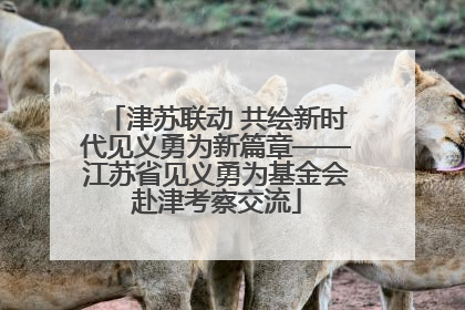 津苏联动 共绘新时代见义勇为新篇章——江苏省见义勇为基金会赴津考察交流