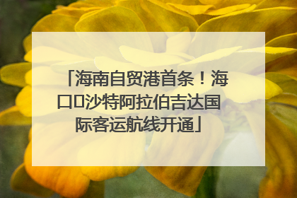 海南自贸港首条！海口⇌沙特阿拉伯吉达国际客运航线开通