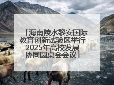 海南陵水黎安国际教育创新试验区举行2025年高校发展协同圆桌会会议