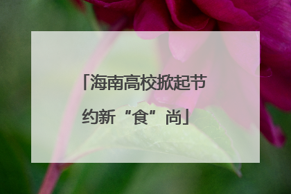 海南高校掀起节约新“食”尚