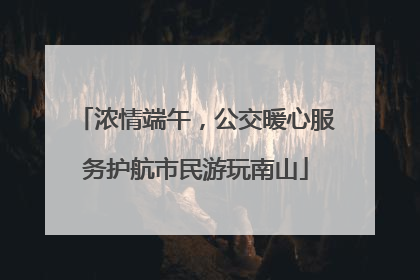 浓情端午，公交暖心服务护航市民游玩南山