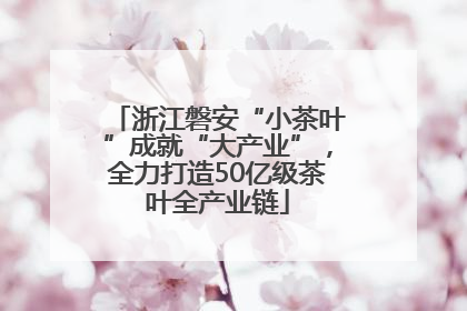 浙江磐安“小茶叶”成就“大产业”，全力打造50亿级茶叶全产业链
