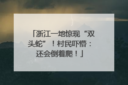 浙江一地惊现“双头蛇”！村民吓懵：还会倒着爬！
