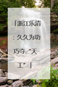 浙江乐清：久久为功 巧夺“天工”