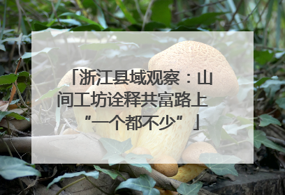 浙江县域观察：山间工坊诠释共富路上“一个都不少”