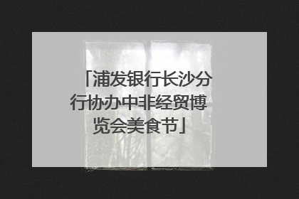 浦发银行长沙分行协办中非经贸博览会美食节