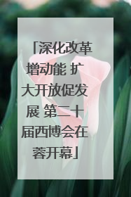 深化改革增动能 扩大开放促发展 第二十届西博会在蓉开幕