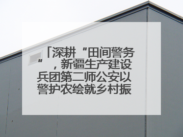 深耕“田间警务”，新疆生产建设兵团第二师公安以警护农绘就乡村振兴平安画卷