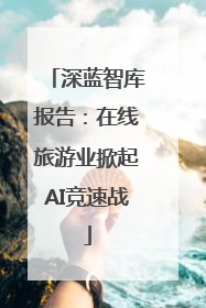 深蓝智库报告：在线旅游业掀起AI竞速战