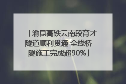 渝昆高铁云南段育才隧道顺利贯通 全线桥隧施工完成超90%