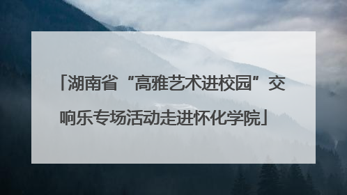 湖南省“高雅艺术进校园”交响乐专场活动走进怀化学院
