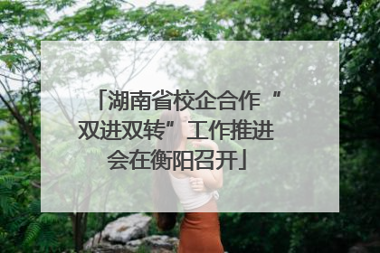 湖南省校企合作“双进双转”工作推进会在衡阳召开