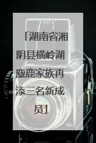 湖南省湘阴县横岭湖麋鹿家族再添三名新成员