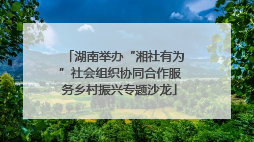 湖南举办“湘社有为”社会组织协同合作服务乡村振兴专题沙龙