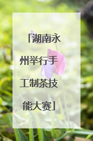 湖南永州举行手工制茶技能大赛
