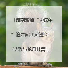 湖南溆浦“大端午”追寻屈子足迹 让诗歌与龙舟共舞