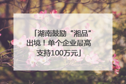 湖南鼓励“湘品”出境！单个企业最高支持100万元