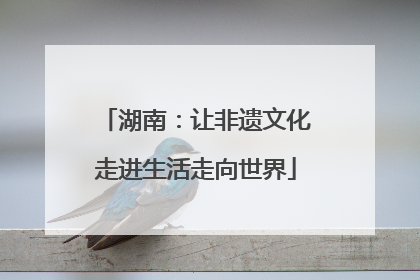 湖南：让非遗文化走进生活走向世界