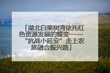湖北白果树湾依托红色资源发展的蝶变——“抗战小延安”走上农旅融合振兴路