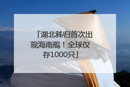 湖北秭归首次出现海南鳽！全球仅存1000只