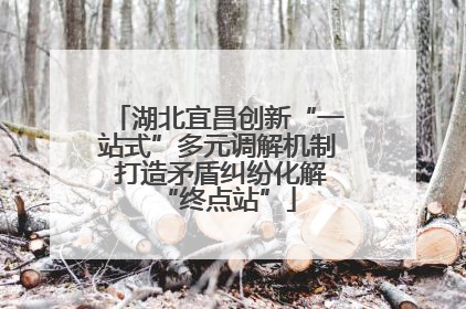 湖北宜昌创新“一站式”多元调解机制 打造矛盾纠纷化解“终点站”
