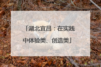 湖北宜昌：在实践中体验美、创造美