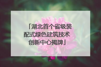 湖北首个省级装配式绿色建筑技术创新中心揭牌