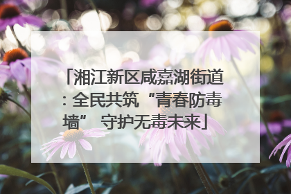 湘江新区咸嘉湖街道：全民共筑“青春防毒墙” 守护无毒未来