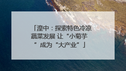 湟中：探索特色冷凉蔬菜发展 让“小菊芋”成为“大产业”